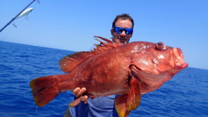 Jolie cherne rouge